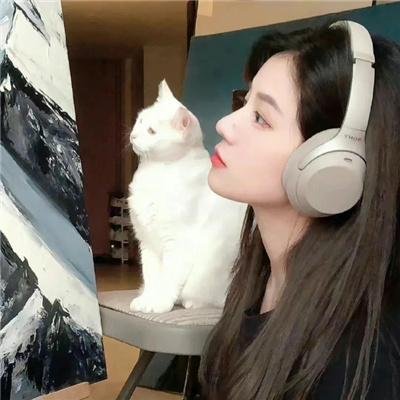 真我无缰2